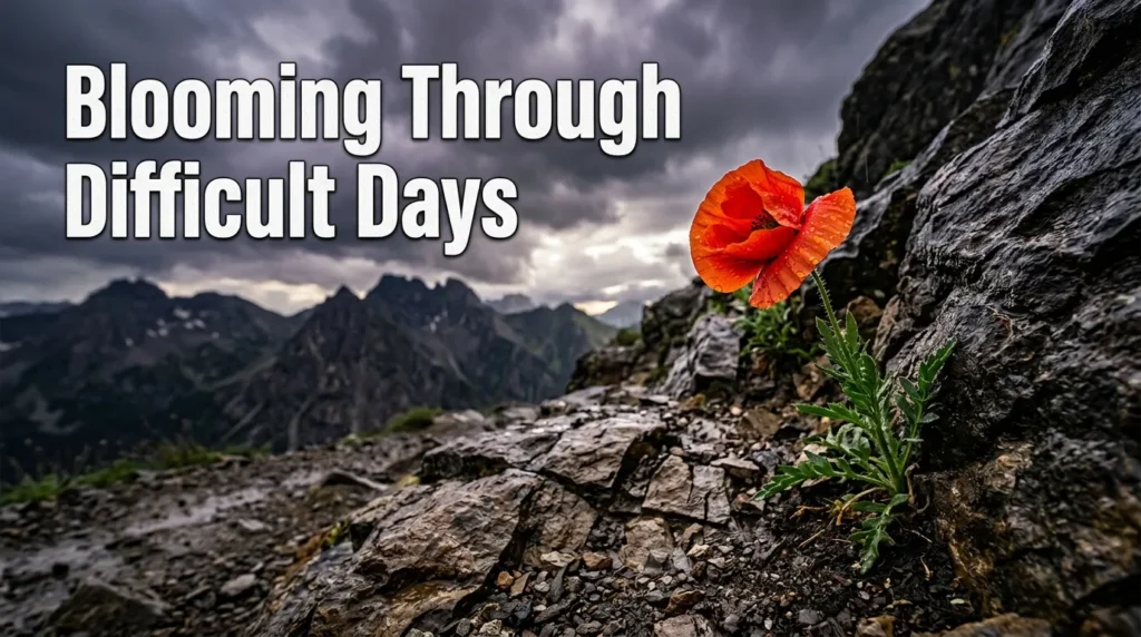 Blooming Through Difficult Days
