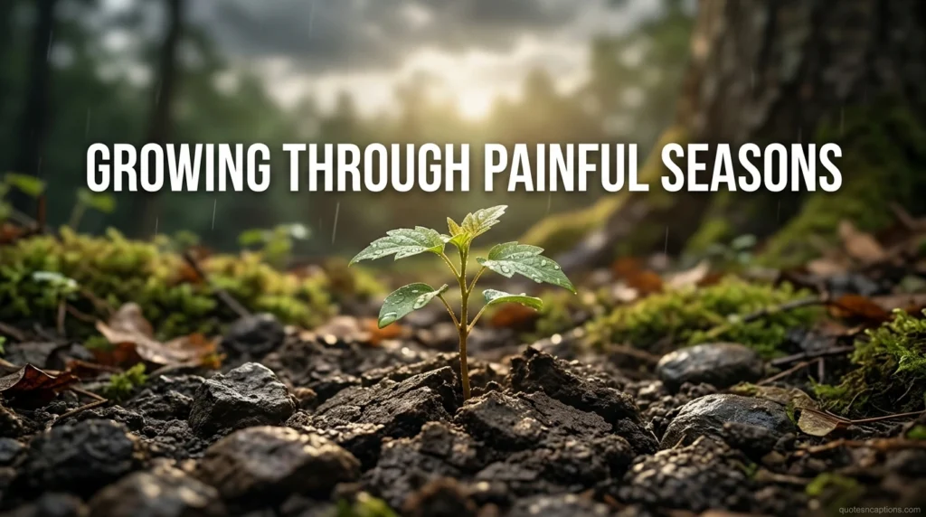 Growing Through Painful Seasons