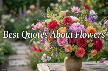 Best Quotes About Flowers